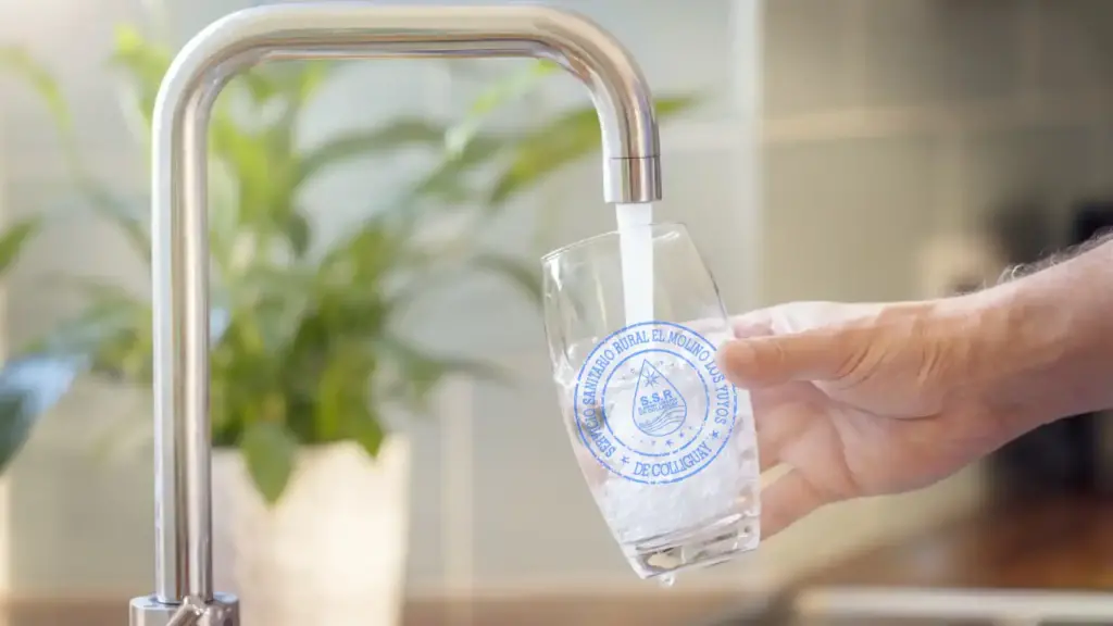 Vaso de agua potable