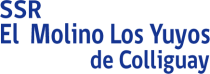 azul ssr